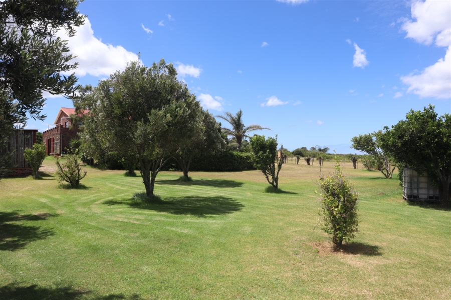 Commercial Property for Sale in Kabeljauws Eastern Cape